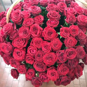 100 rose rosse extra in cesto