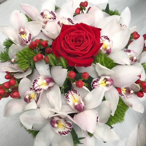 scatola orchidee e rosa amore auguri napoli cammarota