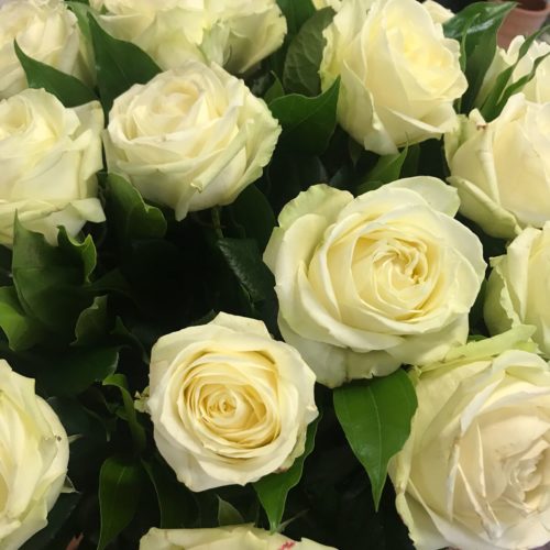 25 rose bianche avalanche