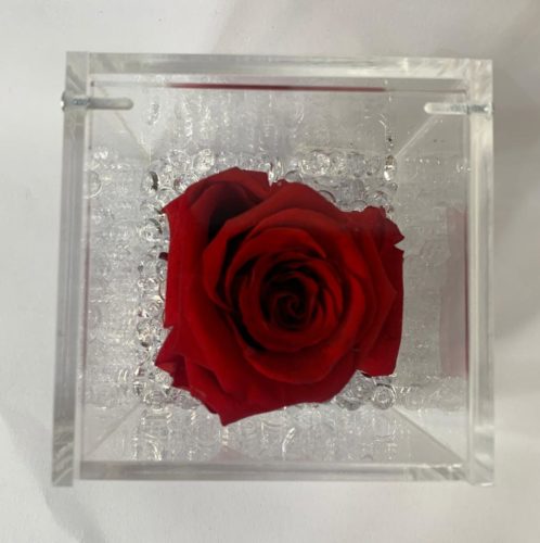 Rosa stabilizzata rossa Napoli
