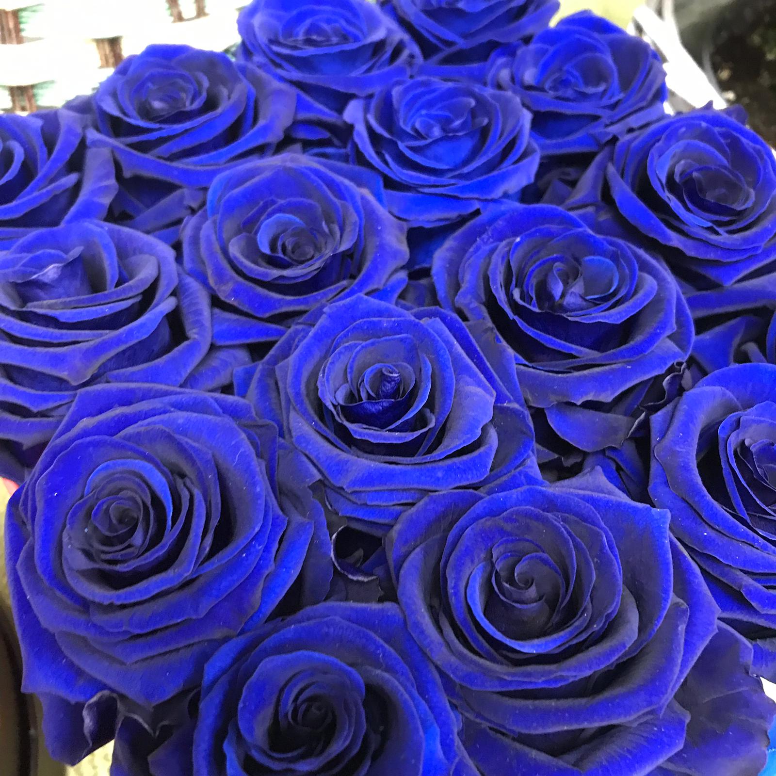 Rose stabilizzate - Blu scuro