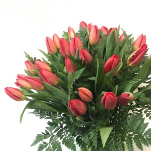 Bouquet 40 tulipani rossi