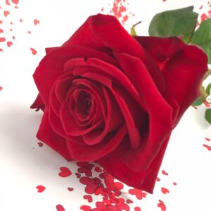 regala rose rosse napoli