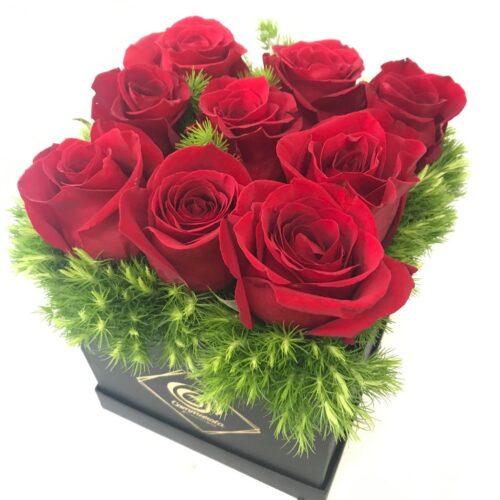 scatolo rose rosse